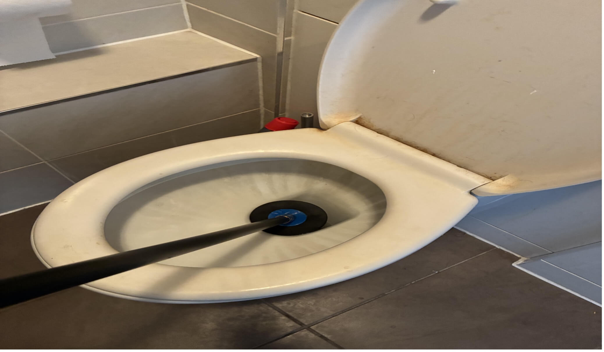 toilet big